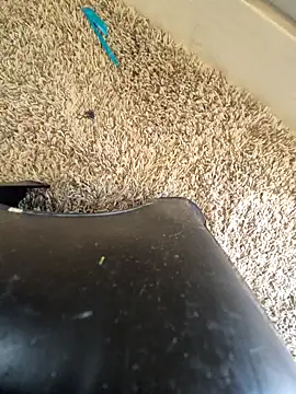 Snapshot of EsDezz88 chatting on 03.22.26 EsDezz88 online show from 03.22.26