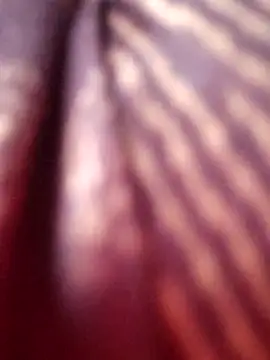 Snapshot of Tamilreethu chatting on 10.05.25 Tamilreethu online show from 10.05.25