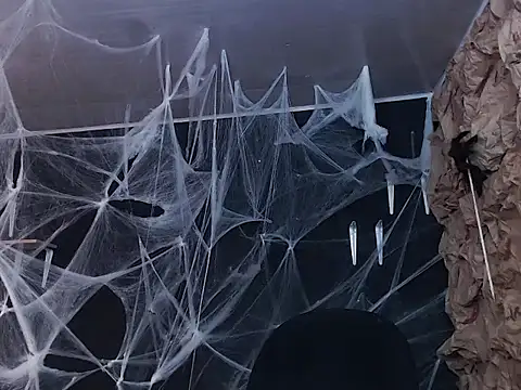 kattypurple online show from 10.11.25