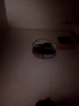 P E R V I T I N online show from 04.06.26