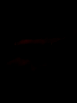 Marco0sss online show from 02.08.26