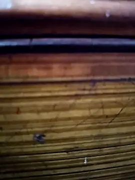 Shruti Bhabhi38 online show from 11.01.25