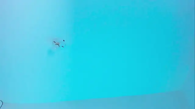 Im naho online show from 11.19.25