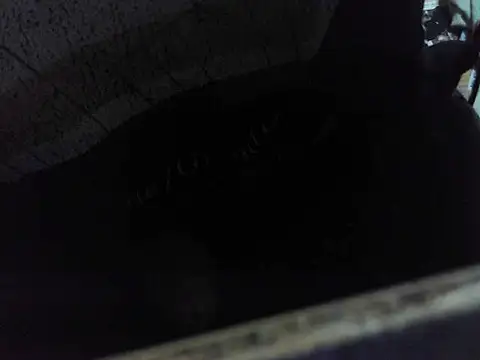 Snapshot of sanalife chatting on 11.04.25 sanalife online show from 11.04.25