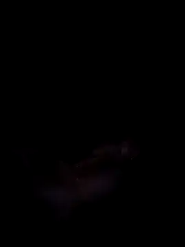 Snapshot of Harini_Gautam chatting on 09.27.25 Harini Gautam online show from 09.27.25