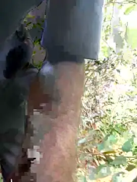 kavi1q1 online show from 01.17.26