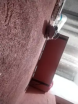 KingMaxiZ online show from 10.04.25