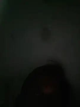 akshant1234 online show from 10.08.25