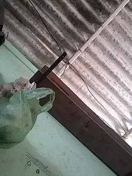 akshant1234 online show from 11.17.25