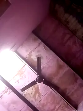 TINASONI online show from 04.05.26