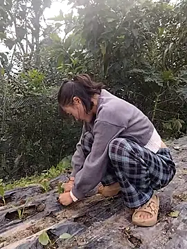 linda bae00 online show from 11.15.25