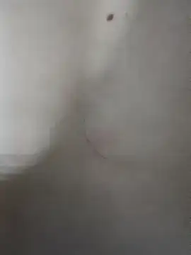 cogiaodam online show from 11.25.25