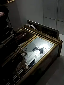 cogiaodam online show from 12.03.25