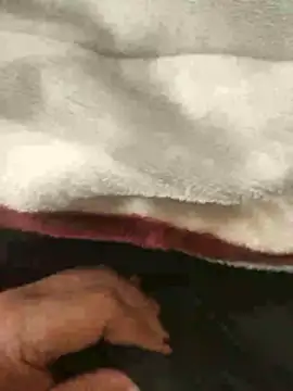 mM0140 online show from 01.13.26