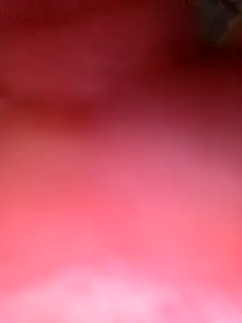 phunphun online show from 11.24.25