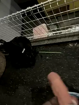 rinne0110 online show from 09.13.25