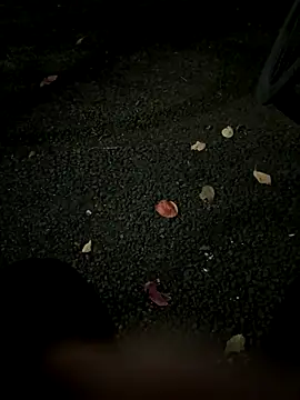 rinne0110 online show from 11.05.25