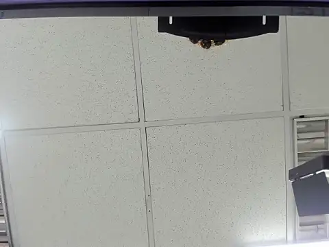 Aisha hotts777 online show from 03.20.26