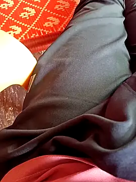 Snapshot of dolphiinn chatting on 11.12.25 dolphiinn online show from 11.12.25