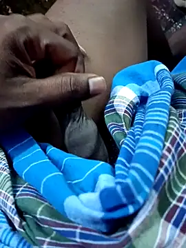 dolphiinn online show from 11.22.25