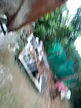 dolphiinn online show from 11.29.25