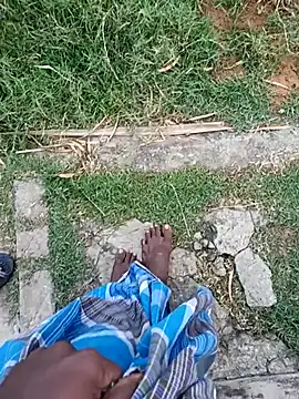 dolphiinn online show from 01.12.26