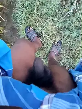 dolphiinn online show from 01.19.26