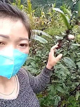 qychiu online show from 11.13.25