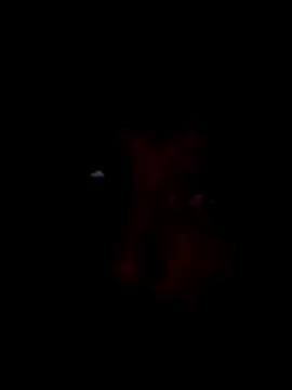 Potch8duim online show from 11.02.25