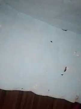 Rakhi j online show from 02.01.26