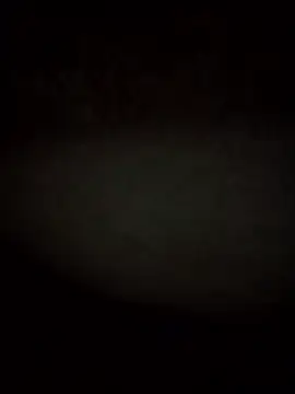 Snapshot of RevokingWaverer chatting on 02.03.26 RevokingWaverer online show from 02.03.26