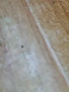 Markroco696 online show from 10.09.25