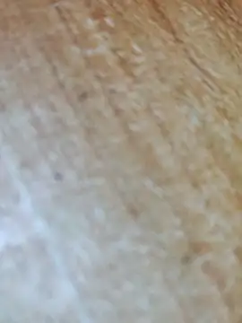 Markroco696 online show from 11.17.25