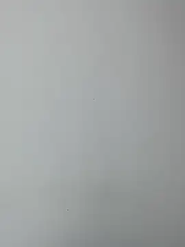 BrendaCrean online show from 02.19.25