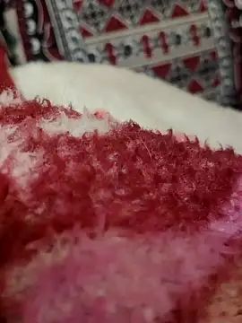 Hot modal online show from 11.28.25