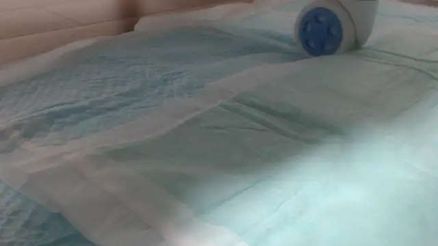 asuka xoxo online show from 10.19.25