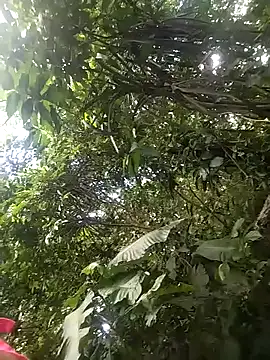 dulcelatin21 online show from 11.25.25