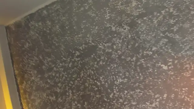 Julieth brown  online show from 12.05.25