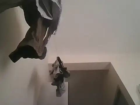 king godgm online show from 11.28.25