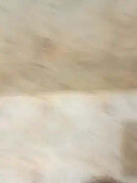 king godgm online show from 12.20.25