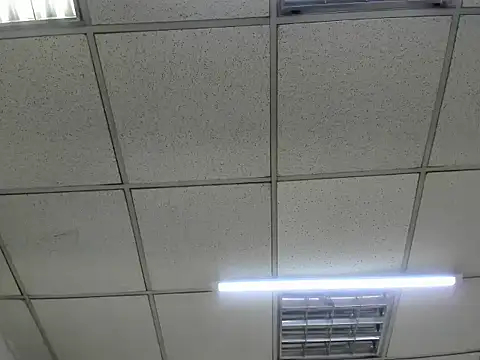 ScarletDoll online show from 10.24.25