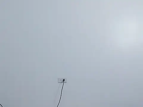 Siglemom sexy online show from 04.01.26