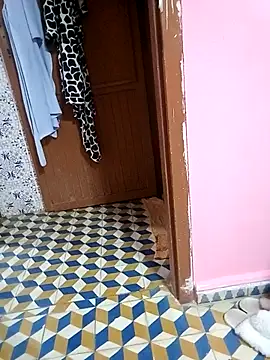 Mayamimi online show from 11.08.25