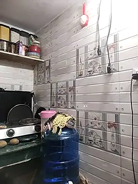 meenu bhabhi547 online show from 04.15.26