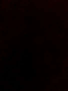 avi007p online show from 03.30.26