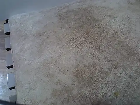 cem07060 online show from 10.23.25