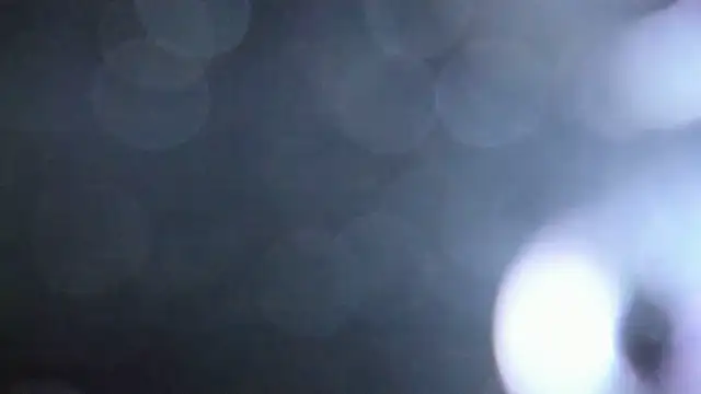 Snapshot of Luna_Analya chatting on 02.05.26 Luna Analya online show from 02.05.26