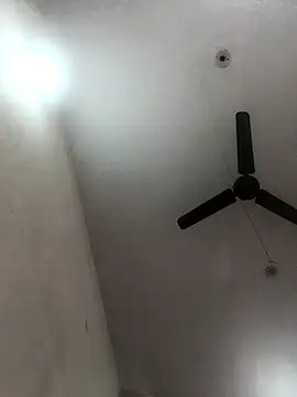 Appypie online show from 11.08.25