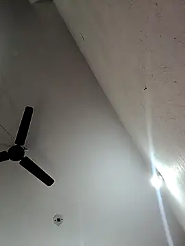 Appypie online show from 11.12.25