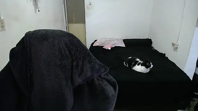 Amber09raiden online show from 10.31.25